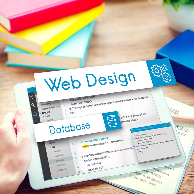 Website Design & Development